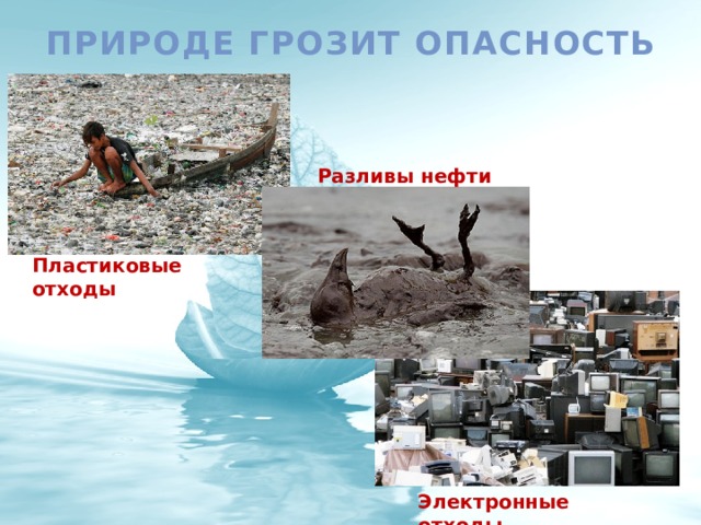 природа в опасности окружающий мир. опасности угрожающие природе. природа в опасности презентация. опасности угрожающие природе кировской. напиши какие опасности угрожают природе твоего края.