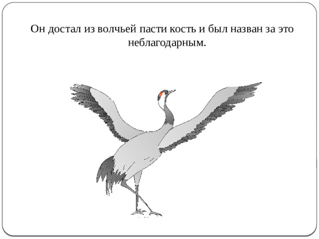 Он достал из волчьей пасти кость и был назван за это неблагодарным. 