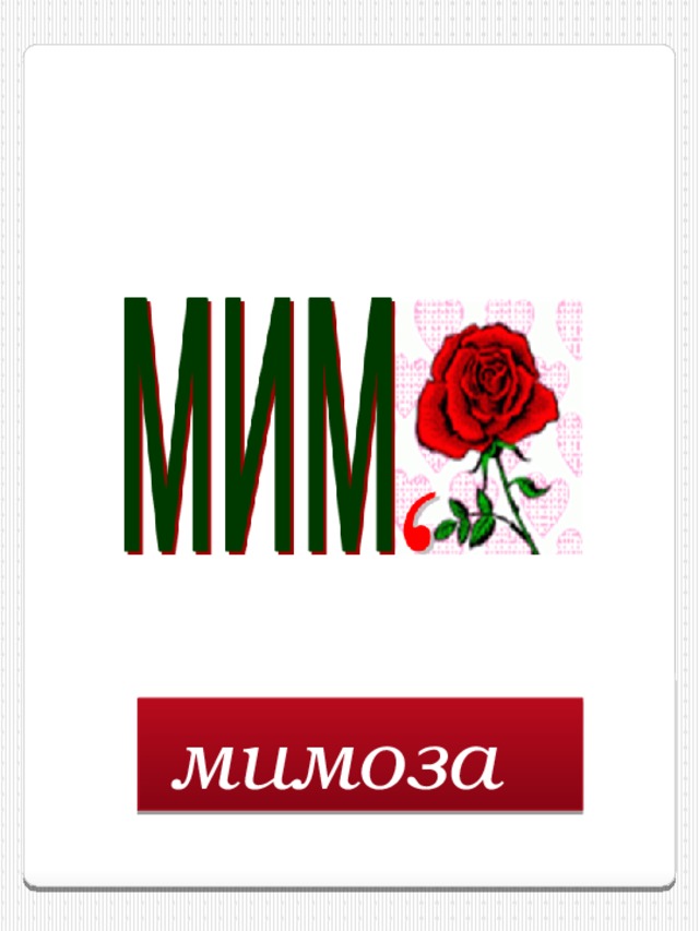 мимоза  