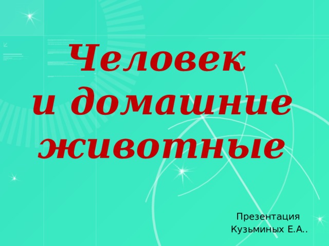 Человек  и домашние животные Презентация Кузьминых Е.А.. 