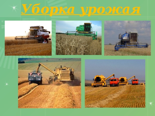 Уборка урожая 