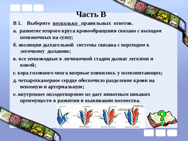 Выход позвоночных на сушу. Выберите несколько правильных ответов. Какие органы дыхания возникли 1 в связи с выходом позвоночных на сушу.