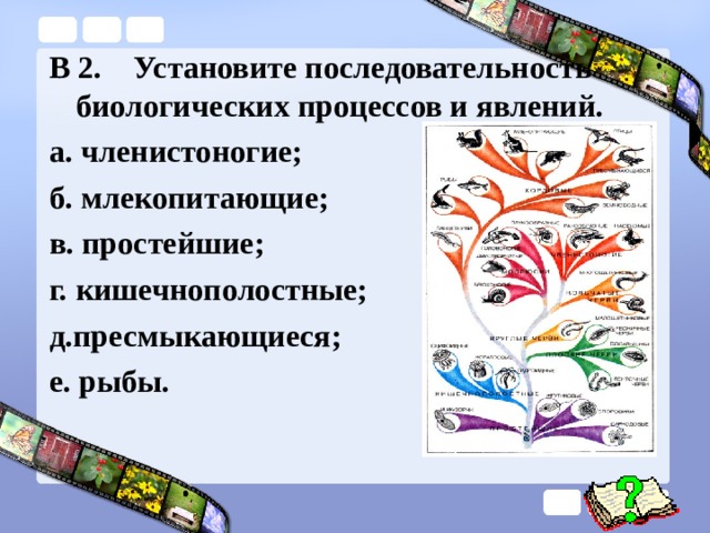 Интеллект карта по биологии 7 класс пресмыкающиеся