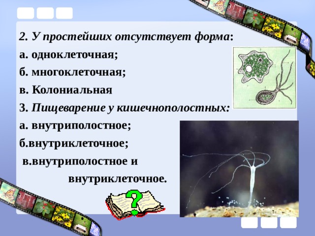 2. У простейших отсутствует форма : а. одноклеточная; б. многоклеточная; в. Колониальная 3. Пищеварение у кишечнополостных: а. внутриполостное; б.внутриклеточное;  в.внутриполостное и  внутриклеточное. 