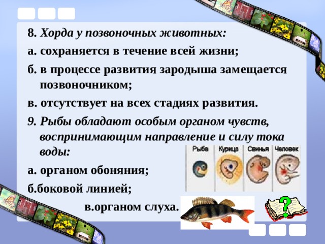 8. Хорда у позвоночных животных: а. сохраняется в течение всей жизни; б. в процессе развития зародыша замещается позвоночником; в. отсутствует на всех стадиях развития. 9. Рыбы обладают особым органом чувств, воспринимающим направление и силу тока воды: а. органом обоняния; б.боковой линией;  в.органом слуха. 