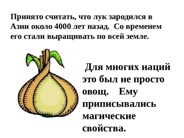 Принято считать, что лук зародился в Азии около 4000 лет назад. Со временем его стали выращивать по всей земле.  Для многих наций это был не просто овощ. Ему приписывались магические свойства. 