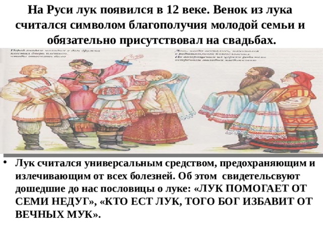 На Руси лук появился в 12 веке. Венок из лука считался символом благополучия молодой семьи и обязательно присутствовал на свадьбах. Лук считался универсальным средством, предохраняющим и излечивающим от всех болезней. Об этом свидетельсвуют дошедшие до нас пословицы о луке: «ЛУК ПОМОГАЕТ ОТ СЕМИ НЕДУГ», «КТО ЕСТ ЛУК, ТОГО БОГ ИЗБАВИТ ОТ ВЕЧНЫХ МУК». 