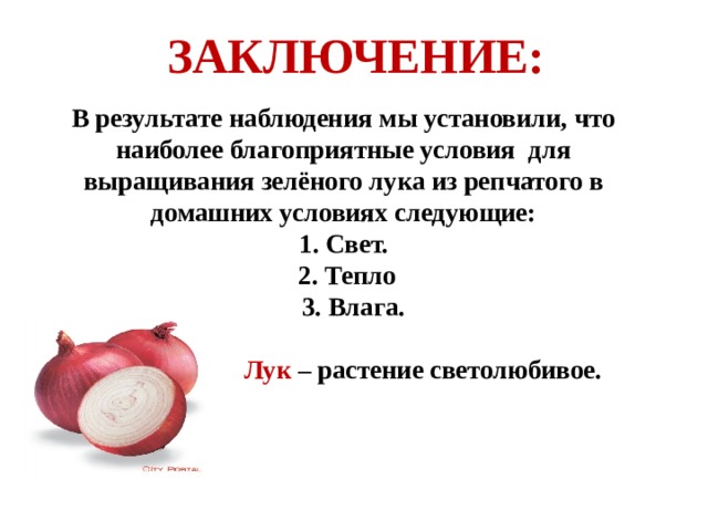  ЗАКЛЮЧЕНИЕ:   В результате наблюдения мы установили, что наиболее благоприятные условия для выращивания зелёного лука из репчатого в домашних условиях следующие:  1. Свет.  2. Тепло  3. Влага.    Лук – растение светолюбивое.   