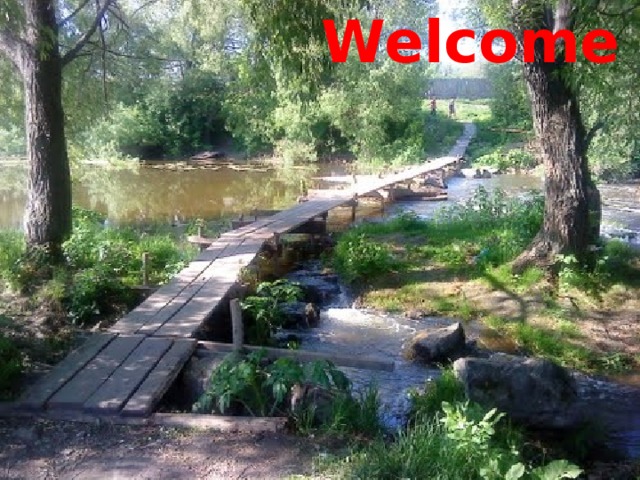 Welcome 