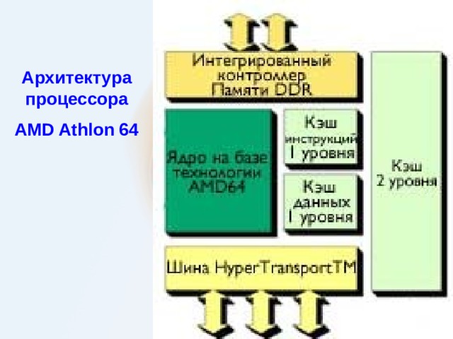 Архитектура процессора AMD Athlon 64    