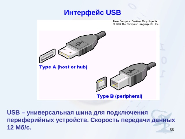 Интерфейс USB USB – универсальная шина для подключения периферийных устройств (клавиатура, мышь, принтер и т.д.) Скорость передачи данных 12 Мб/с USB – универсальная шина для подключения периферийных устройств. Скорость передачи данных 12 Мб/с.   