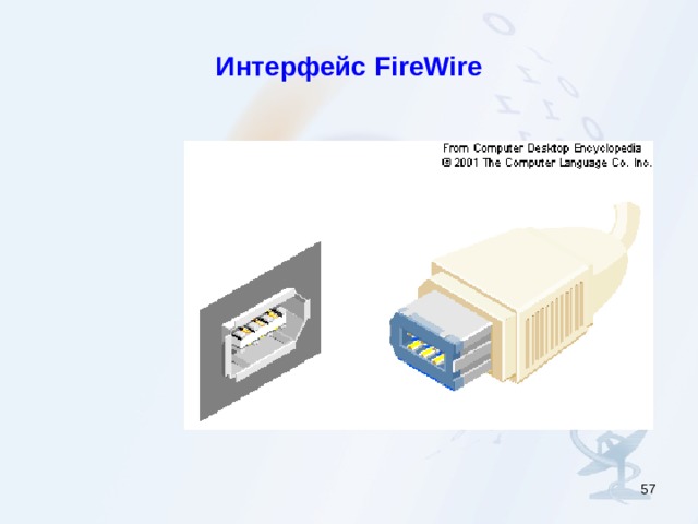 Интерфейс FireWire  