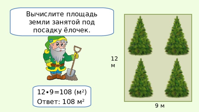 Вычислите площадь земли занятой под посадку ёлочек. 12 м 12∙9=108   (м 2 ) Ответ: 108 м 2  9 м 