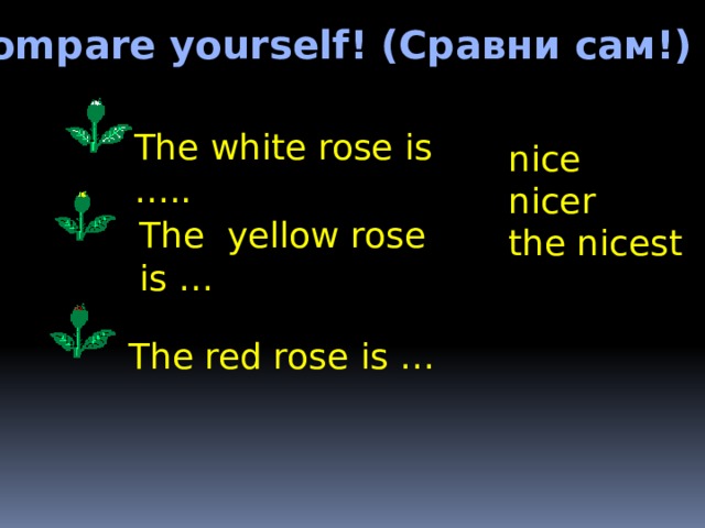 Compare yourself! (Сравни сам!) The white rose is ….. nice nicer the nicest The yellow rose is … The red rose is … 