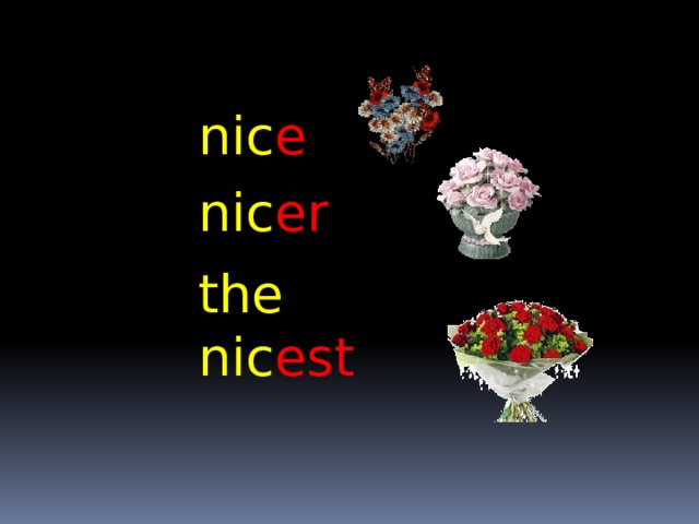 nic e nic er the nic est 