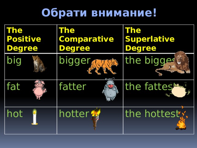 Обрати внимание! The Positive Degree big The Comparative Degree The Superlative Degree bigger fat the biggest fatter hot the fattest hotter the hottest  