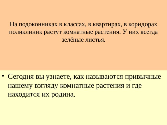 На подоконниках в классах, в квартирах, в коридорах поликлиник растут комнатные растения. У них всегда зелёные листья.   Сегодня вы узнаете, как называются привычные нашему взгляду комнатные растения и где находится их родина. 