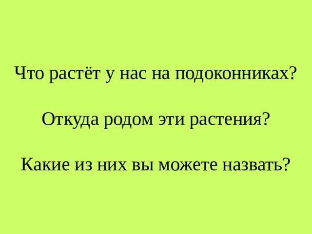 Что растёт у нас на подоконниках?    Откуда родом эти растения?   Какие из них вы можете назвать? 