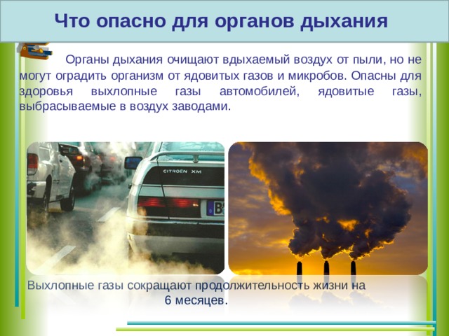 Ядовитый газ легче воздуха. Выхлопные ГАЗЫ автомобилей. ГАЗЫ вредные для человека. Выхлопные ГАЗЫ автомобилей влияние на атмосферу. Опасность ядовитых газов.