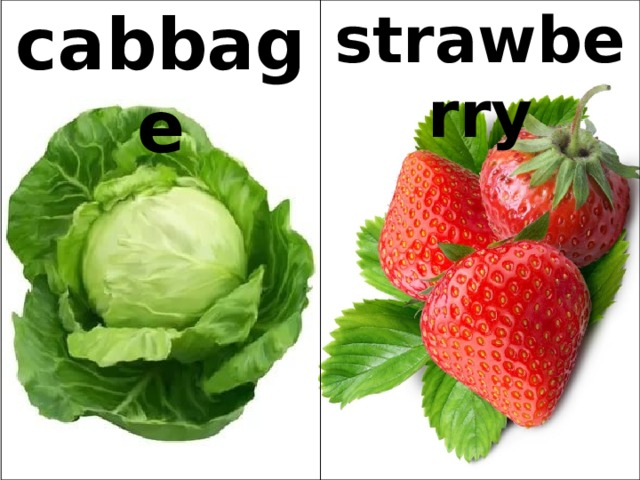 cabbage strawberry 