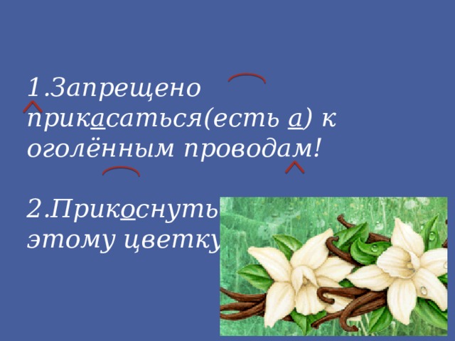 1.Запрещено прик а саться(есть а ) к оголённым проводам!  2.Прик о снуться(нет а ) к этому цветку. 