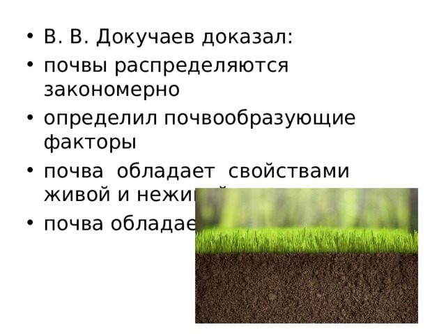 В. В. Докучаев доказал: почвы распределяются закономерно определил почвообразующие факторы почва обладает свойствами живой и неживой природы почва обладает плодородием 