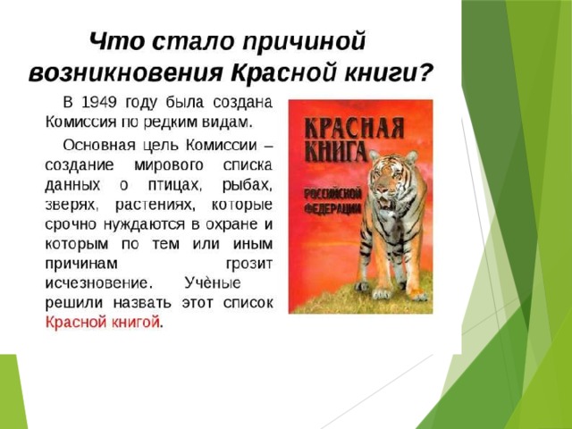 Рассказ о орангутанге из красной книги 4 класс по окружающему миру