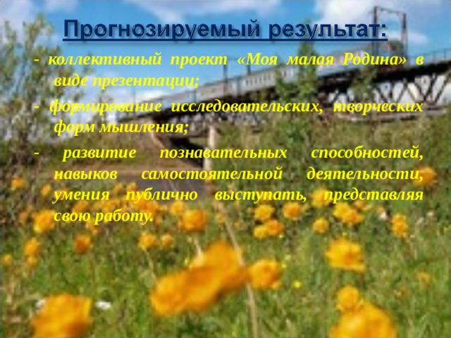 - коллективный проект «Моя малая Родина» в виде презентации; - формирование исследовательских, творческих форм мышления; - развитие познавательных способностей, навыков самостоятельной деятельности, умения публично выступать, представляя свою работу.