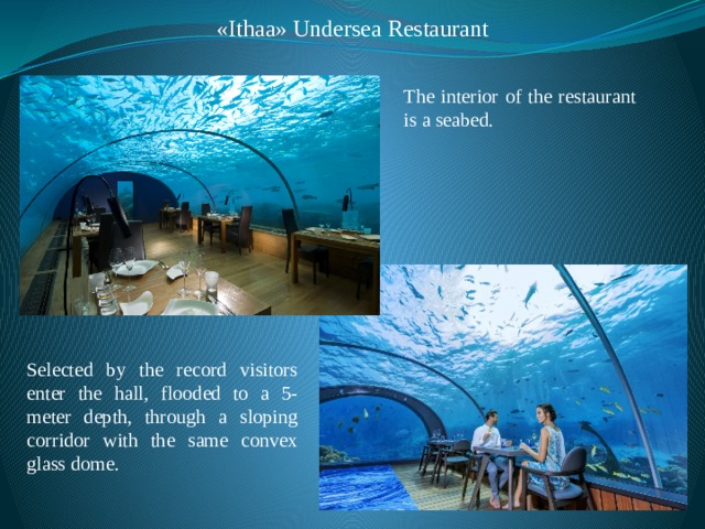 «Ithaa» Undersea Restaurant The interior of the restaurant is a seabed. Selected by the record visitors enter the hall, flooded to a 5-meter depth, through a sloping corridor with the same convex glass dome. 