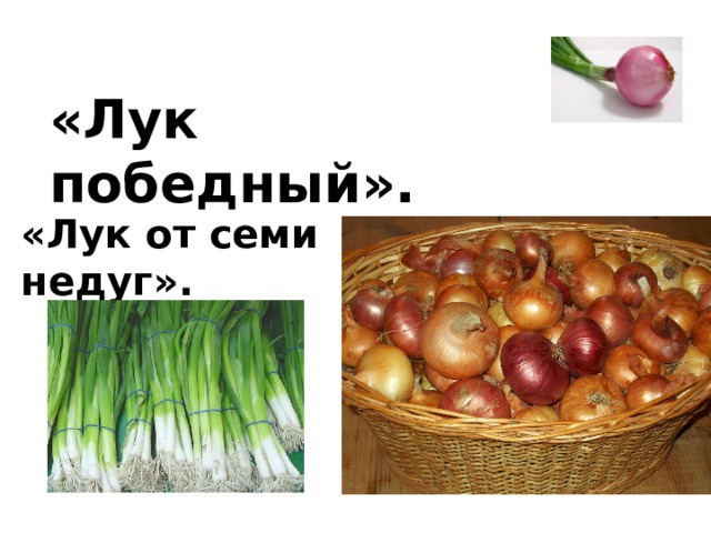 Лук от семи недуг картинка для детей