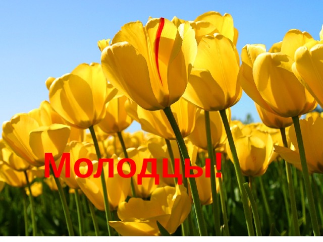 Спасибо за внимание Молодцы! 