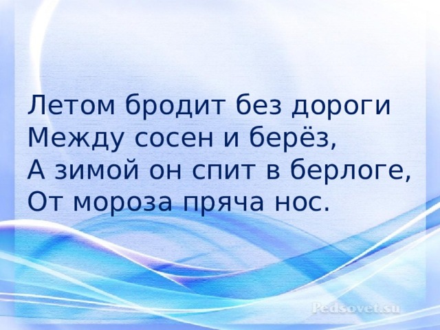 Летом бродит без дороги  Между сосен и берёз,  А зимой он спит в берлоге,  От мороза пряча нос. 