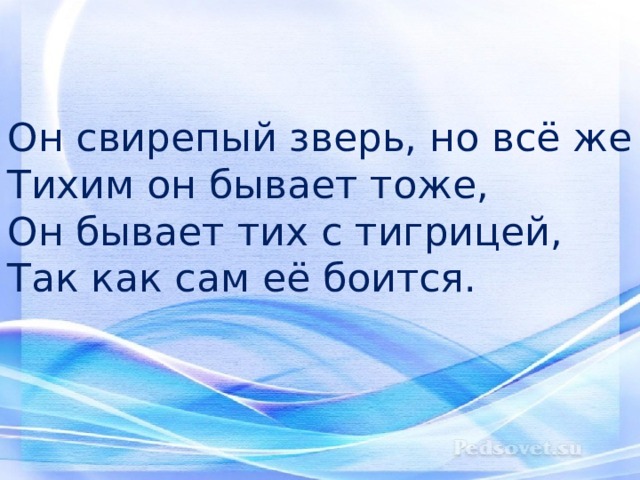 Он свирепый зверь, но всё же  Тихим он бывает тоже,  Он бывает тих с тигрицей,  Так как сам её боится. 