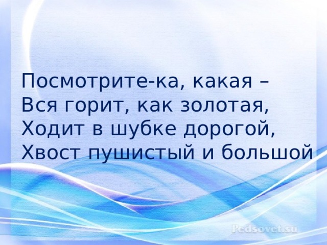 Посмотрите-ка, какая –  Вся горит, как золотая,  Ходит в шубке дорогой,  Хвост пушистый и большой 