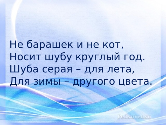 Не барашек и не кот,  Носит шубу круглый год.  Шуба серая – для лета,  Для зимы – другого цвета. 