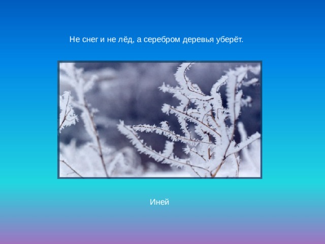 Не снег и не лёд, а серебром деревья уберёт. Иней 