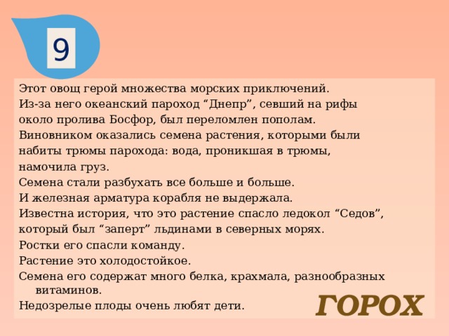 9 Этот овощ герой множества морских приключений. Из-за него океанский пароход “Днепр”, севший на рифы около пролива Босфор, был переломлен пополам. Виновником оказались семена растения, которыми были набиты трюмы парохода: вода, проникшая в трюмы, намочила груз. Семена стали разбухать все больше и больше. И железная арматура корабля не выдержала. Известна история, что это растение спасло ледокол “Седов”, который был “заперт” льдинами в северных морях. Ростки его спасли команду. Растение это холодостойкое. Семена его содержат много белка, крахмала, разнообразных витаминов. Недозрелые плоды очень любят дети. ГОРОХ 
