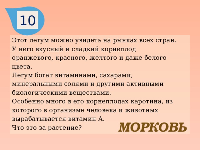 10 Этот легум можно увидеть на рынках всех стран. У него вкусный и сладкий корнеплод оранжевого, красного, желтого и даже белого цвета. Легум богат витаминами, сахарами, минеральными солями и другими активными биологическими веществами. Особенно много в его корнеплодах каротина, из которого в организме человека и животных вырабатывается витамин А. Что это за растение? МОРКОВЬ 