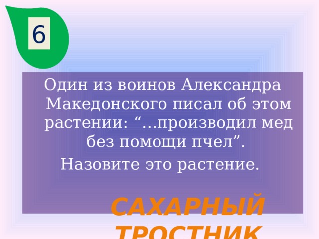 6 Один из воинов Александра Македонского писал об этом растении: “…производил мед без помощи пчел”. Назовите это растение. Сахарный тростник 