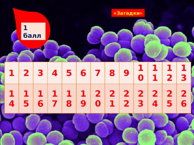 «Загадки » 1 балл 1 14 2 15 3 4 16 5 17 18 6 19 7 8 20 21 9 22 10 23 11 24 12 13 25 26 