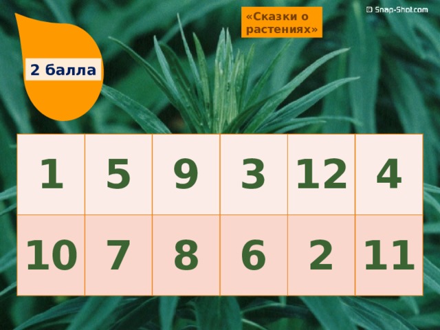 «Сказки о растениях» 2 балла 1 5 10 7 9 3 8 6 12 4 2 11 