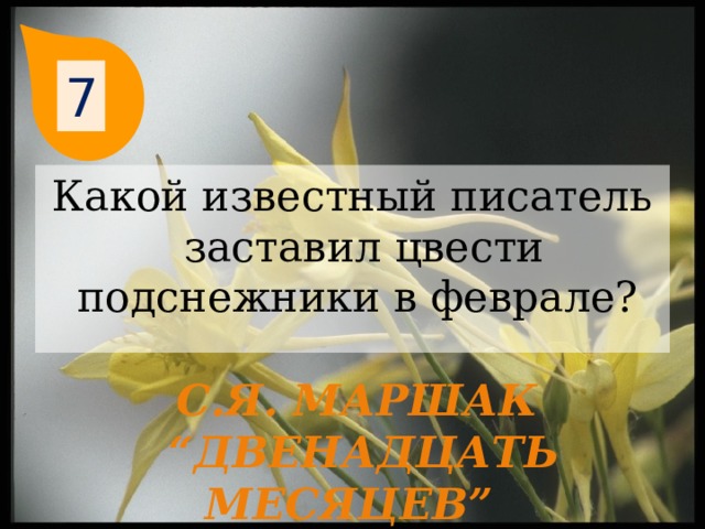 7 Какой известный писатель заставил цвести подснежники в феврале? С.Я. Маршак “ Двенадцать месяцев”  