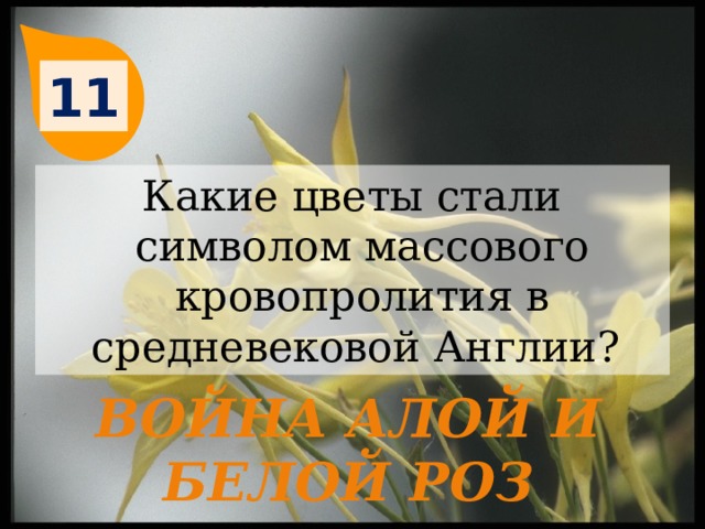 11 Какие цветы стали символом массового кровопролития в средневековой Англии? Война Алой и Белой роз 