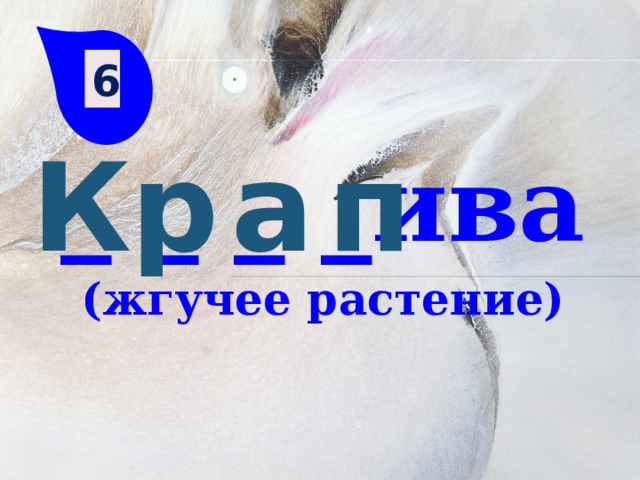 6 К р а п _ _ _ _ива (жгучее растение)  