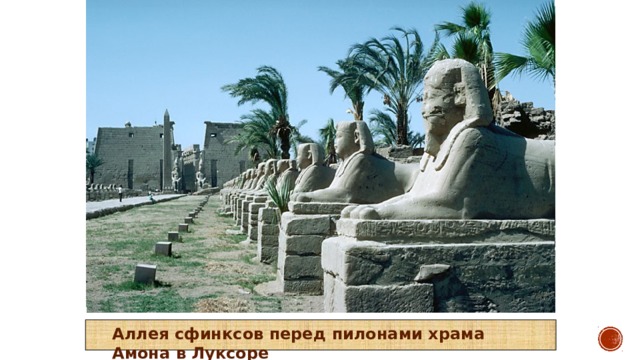 Аллея сфинксов перед пилонами храма Амона в Луксоре 