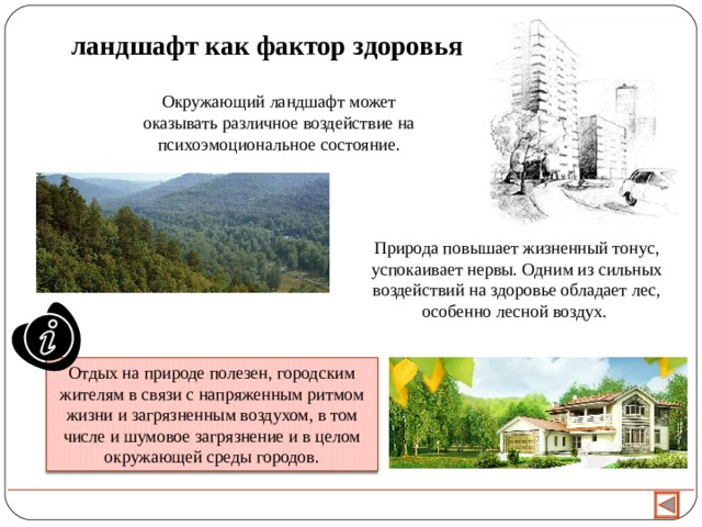 Проект на тему влияние человека на ландшафт