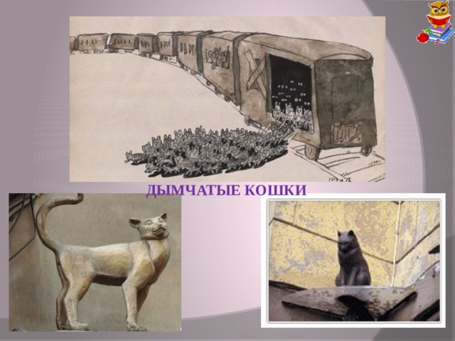 ДЫМЧАТЫЕ КОШКИ 