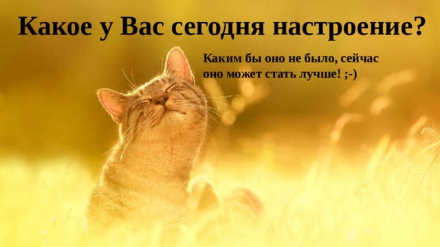 Какое у Вас сегодня настроение? Каким бы оно не было, сейчас оно может стать лучше! ;-) 