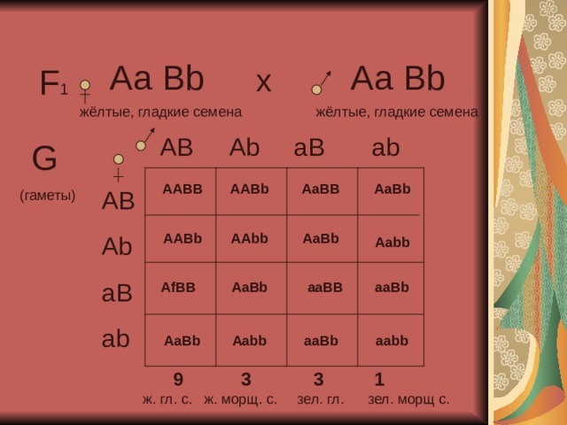 Www ab ba. Ab ab ab ab таблица. Ab*ab. Ab ab генотип. Организмы с генотипом AABB.