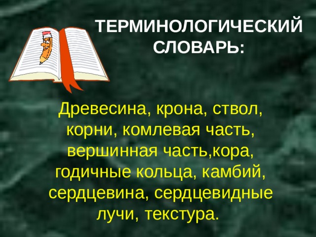 ТЕРМИНОЛОГИЧЕСКИЙ СЛОВАРЬ: Древесина, крона, ствол, корни, комлевая часть, вершинная часть,кора, годичные кольца, камбий, сердцевина, сердцевидные лучи, текстура. 